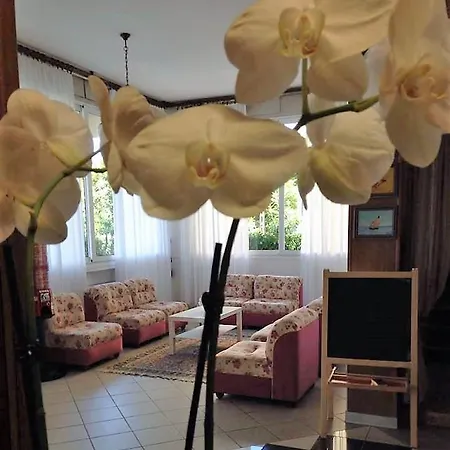 Primula Lido Di Savio