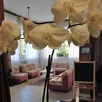 Primula לידו די סביו